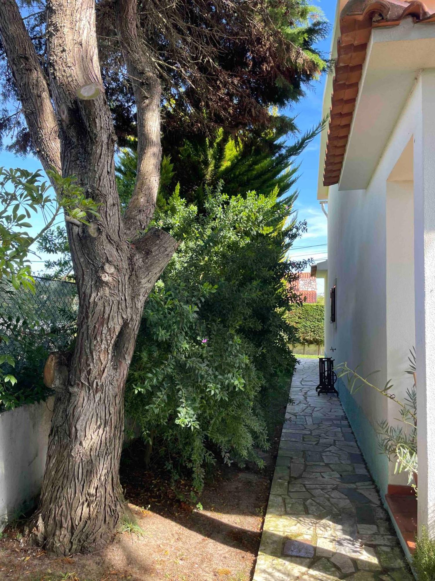 Santa Cruz Beach House Areias 외부 사진