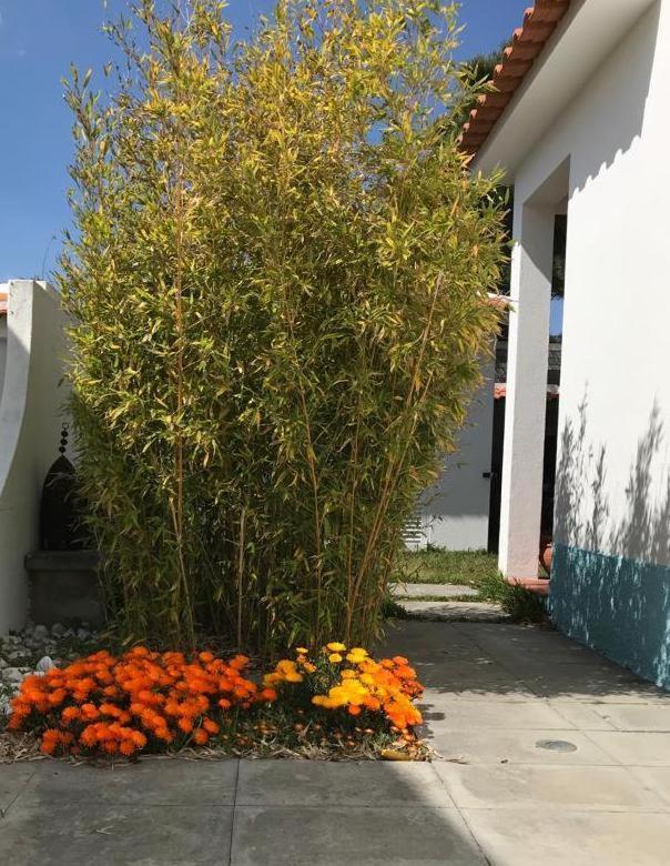 Santa Cruz Beach House Areias 외부 사진